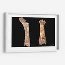 Hueso Saludo entre Razas Humana-Alienígena - David Ávila | Cuadro decorativo de Canvas Lab