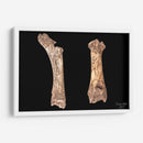 Hueso Saludo entre Razas Humana-Alienígena - David Ávila | Cuadro decorativo de Canvas Lab