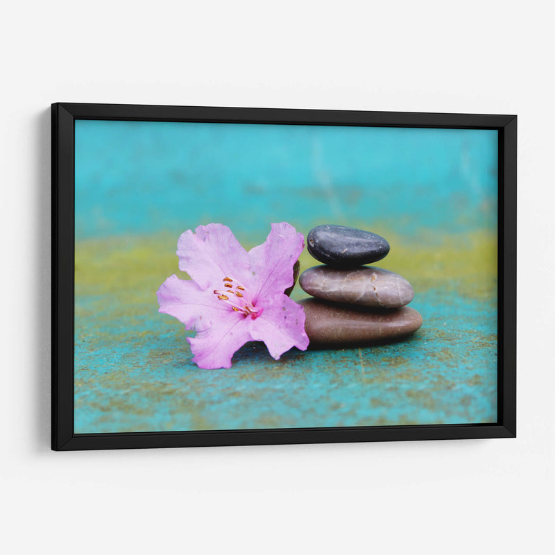 Azalea en equilibrio | Cuadro decorativo de Canvas Lab