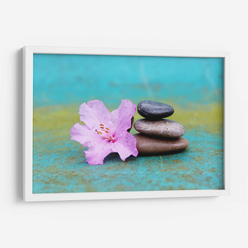 Azalea en equilibrio | Cuadro decorativo de Canvas Lab