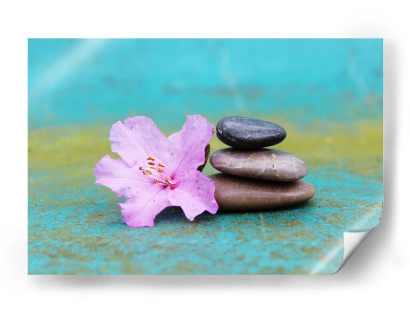 Azalea en equilibrio | Cuadro decorativo de Canvas Lab