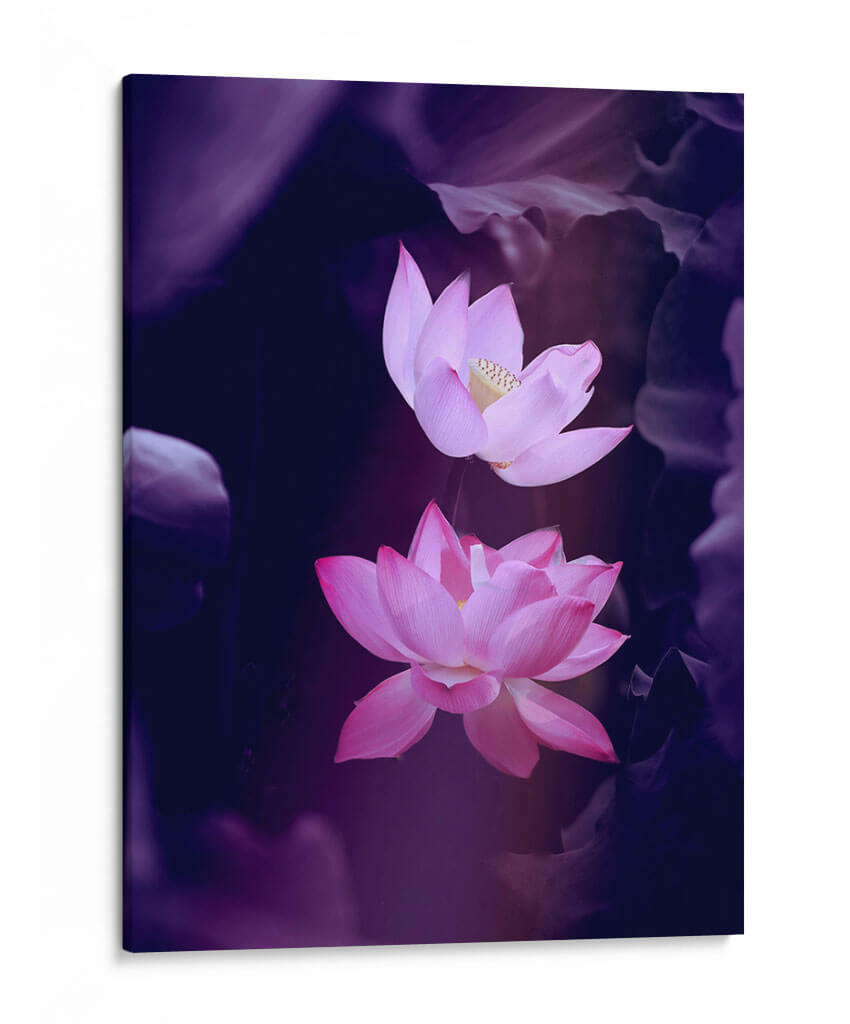 Loto lavanda | Cuadro decorativo de Canvas Lab