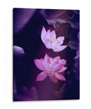 Loto lavanda | Cuadro decorativo de Canvas Lab