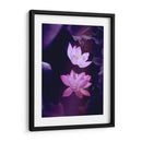 Loto lavanda | Cuadro decorativo de Canvas Lab