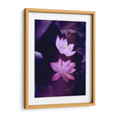 Loto lavanda | Cuadro decorativo de Canvas Lab