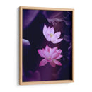 Loto lavanda | Cuadro decorativo de Canvas Lab