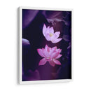 Loto lavanda | Cuadro decorativo de Canvas Lab