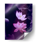 Loto lavanda | Cuadro decorativo de Canvas Lab