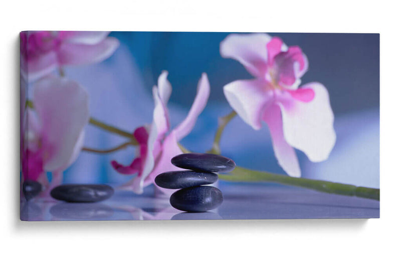 Equilibrio lila | Cuadro decorativo de Canvas Lab