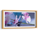 Equilibrio lila | Cuadro decorativo de Canvas Lab