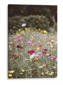 Entre el campo | Cuadro decorativo de Canvas Lab