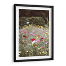 Entre el campo | Cuadro decorativo de Canvas Lab