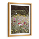 Entre el campo | Cuadro decorativo de Canvas Lab