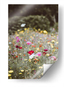 Entre el campo | Cuadro decorativo de Canvas Lab