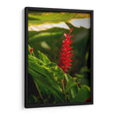 Flor roja tropical Alpinia Purpurata - Carla Fernández | Cuadro decorativo de Canvas Lab