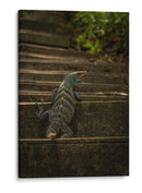 Iguana Ctenosaura rayada - Carla Fernández | Cuadro decorativo de Canvas Lab