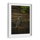 Iguana Ctenosaura rayada - Carla Fernández | Cuadro decorativo de Canvas Lab