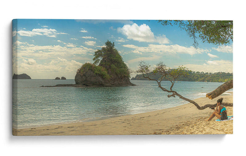 Roca Tortuga en playa Espadilla - Carla Fernández | Cuadro decorativo de Canvas Lab