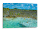 Estromatolitos en aguas prístinas de Bacalar - Carla Fernández | Cuadro decorativo de Canvas Lab