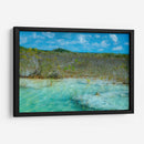 Estromatolitos en aguas prístinas de Bacalar - Carla Fernández | Cuadro decorativo de Canvas Lab