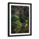 Exuberante vegetación Xochimilco - Carla Fernández | Cuadro decorativo de Canvas Lab