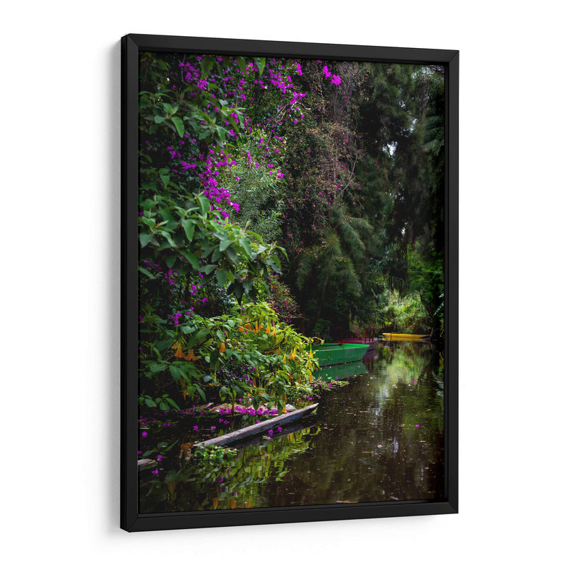 Exuberante vegetación Xochimilco - Carla Fernández | Cuadro decorativo de Canvas Lab