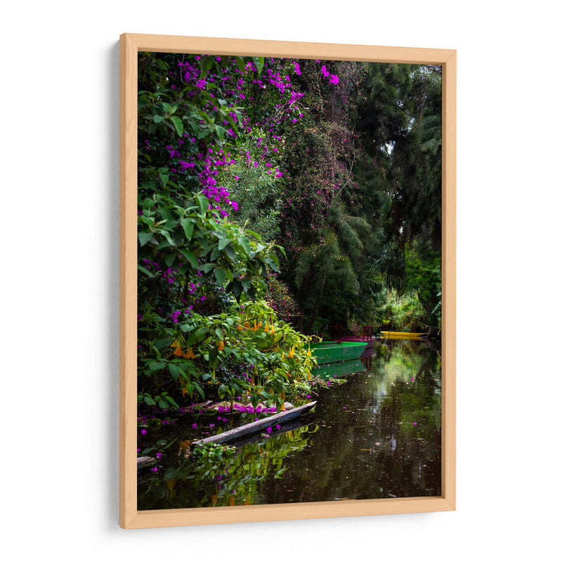 Exuberante vegetación Xochimilco - Carla Fernández | Cuadro decorativo de Canvas Lab
