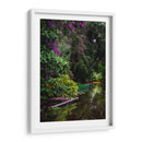 Exuberante vegetación Xochimilco - Carla Fernández | Cuadro decorativo de Canvas Lab