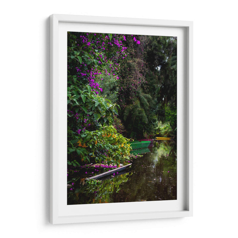 Exuberante vegetación Xochimilco - Carla Fernández | Cuadro decorativo de Canvas Lab