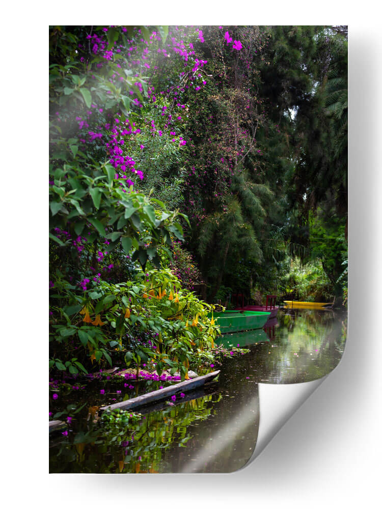 Exuberante vegetación Xochimilco - Carla Fernández | Cuadro decorativo de Canvas Lab