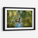 Pato silvestre en el charco en Toronto Center Island - Carla Fernández | Cuadro decorativo de Canvas Lab