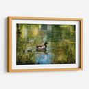 Pato silvestre en el charco en Toronto Center Island - Carla Fernández | Cuadro decorativo de Canvas Lab