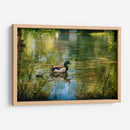Pato silvestre en el charco en Toronto Center Island - Carla Fernández | Cuadro decorativo de Canvas Lab