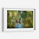 Pato silvestre en el charco en Toronto Center Island - Carla Fernández | Cuadro decorativo de Canvas Lab