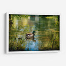 Pato silvestre en el charco en Toronto Center Island - Carla Fernández | Cuadro decorativo de Canvas Lab