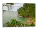 Vista aérea de la playa Manuel Antonio  - Carla Fernández | Cuadro decorativo de Canvas Lab