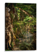 Exuberante vegetación tropical - Carla Fernández | Cuadro decorativo de Canvas Lab