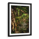 Exuberante vegetación tropical - Carla Fernández | Cuadro decorativo de Canvas Lab