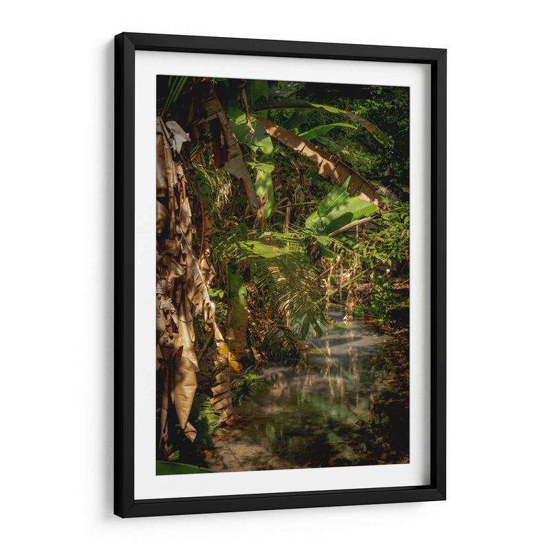 Exuberante vegetación tropical - Carla Fernández | Cuadro decorativo de Canvas Lab