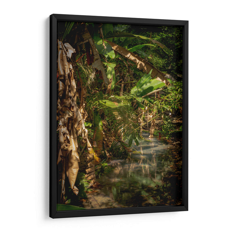 Exuberante vegetación tropical - Carla Fernández | Cuadro decorativo de Canvas Lab