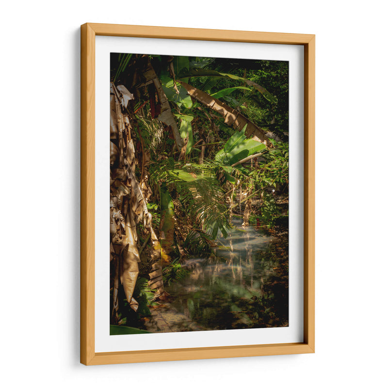 Exuberante vegetación tropical - Carla Fernández | Cuadro decorativo de Canvas Lab