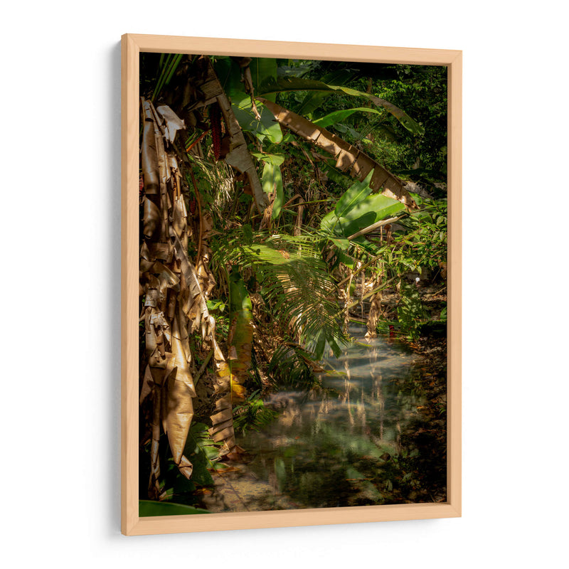 Exuberante vegetación tropical - Carla Fernández | Cuadro decorativo de Canvas Lab