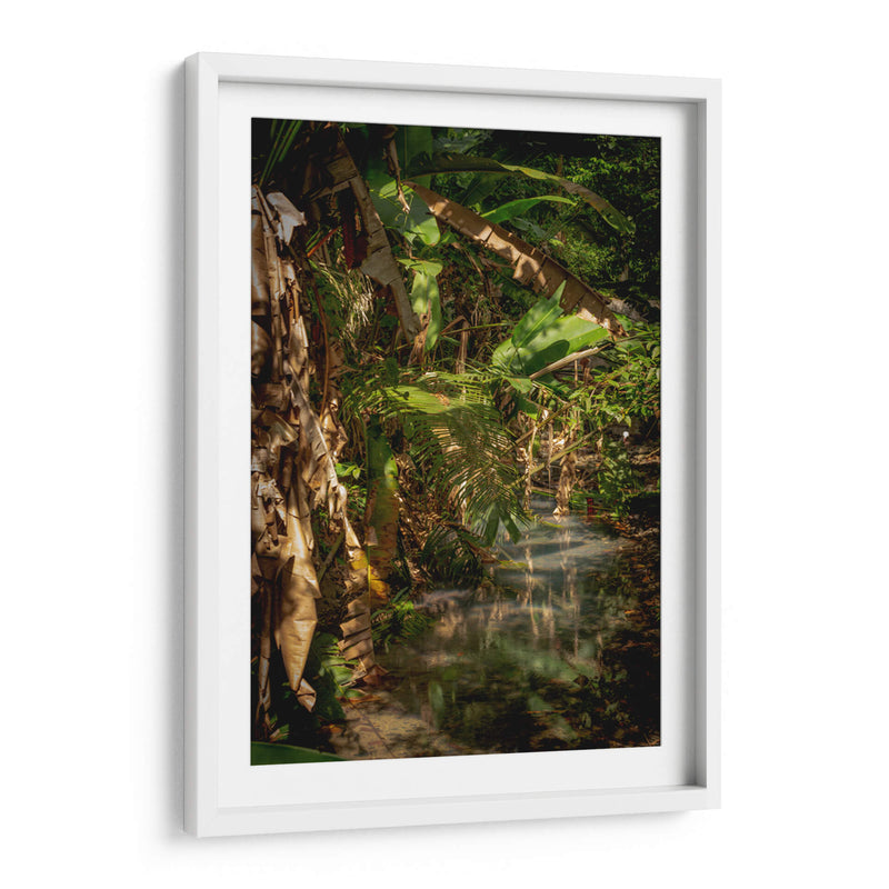 Exuberante vegetación tropical - Carla Fernández | Cuadro decorativo de Canvas Lab