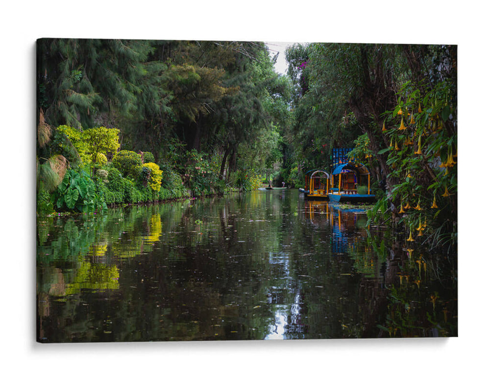 Escena de Xochimilco - Carla Fernández | Cuadro decorativo de Canvas Lab