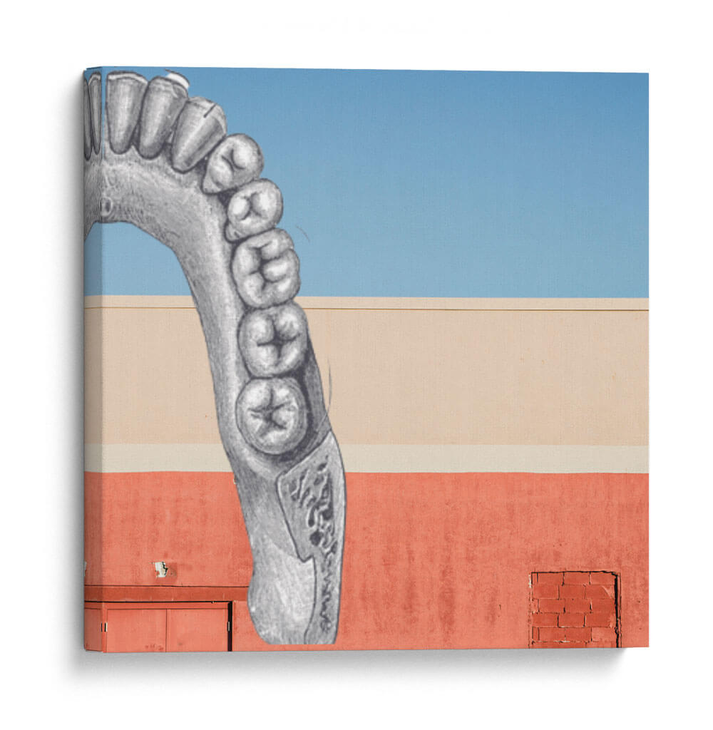 Hemi Molar - Odontograma Mx | Cuadro decorativo de Canvas Lab