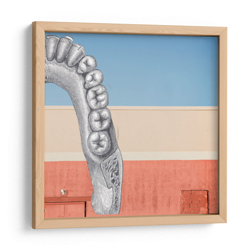 Hemi Molar - Odontograma Mx | Cuadro decorativo de Canvas Lab