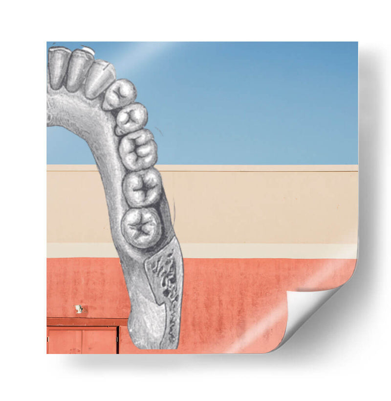 Hemi Molar - Odontograma Mx | Cuadro decorativo de Canvas Lab
