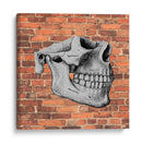 Hueso  - Odontograma Mx | Cuadro decorativo de Canvas Lab