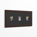 Molares - Odontograma Mx | Cuadro decorativo de Canvas Lab