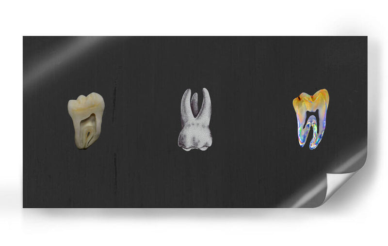 Molares - Odontograma Mx | Cuadro decorativo de Canvas Lab